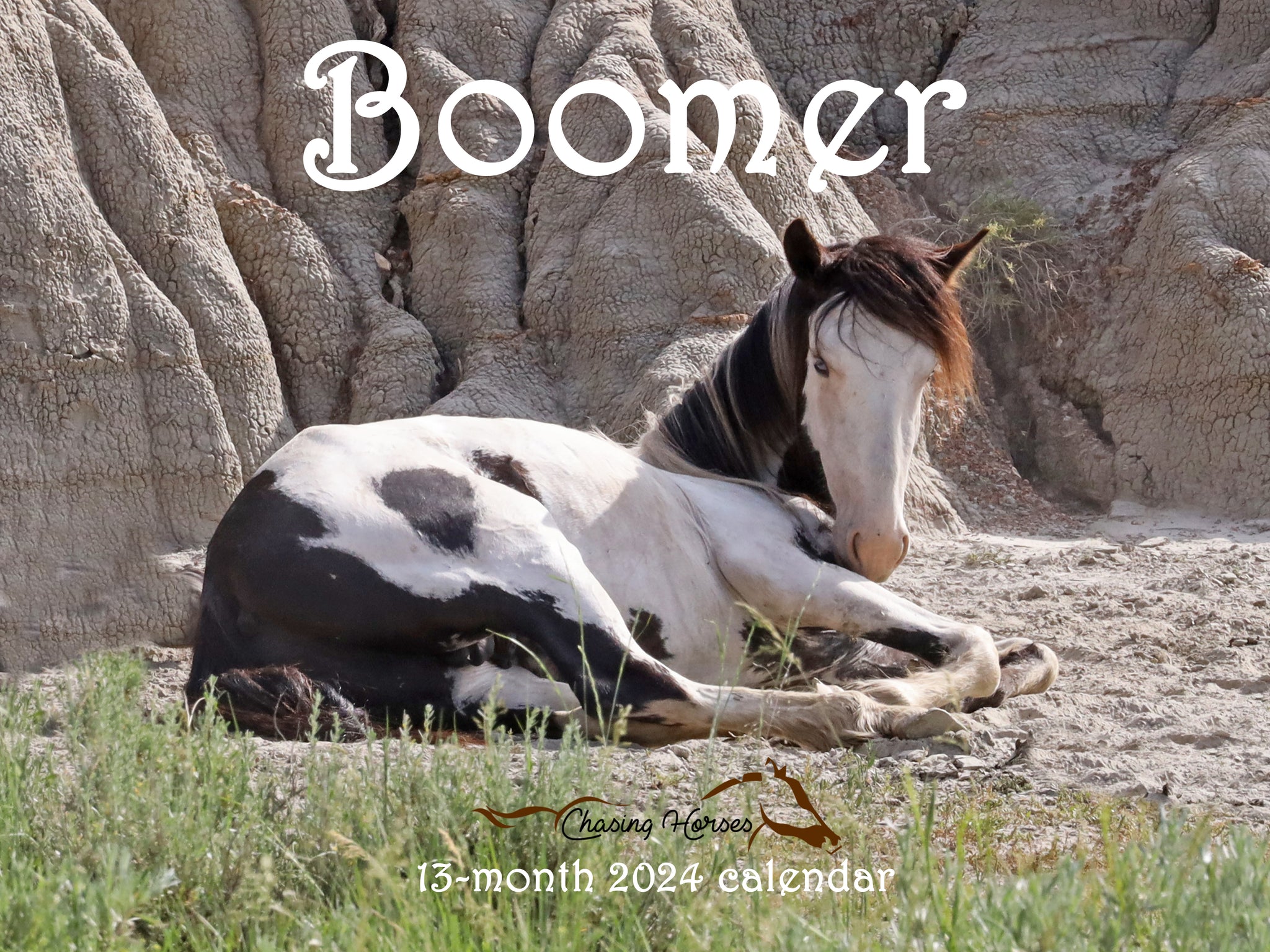 2024 Chasing Horses 13-month calendars