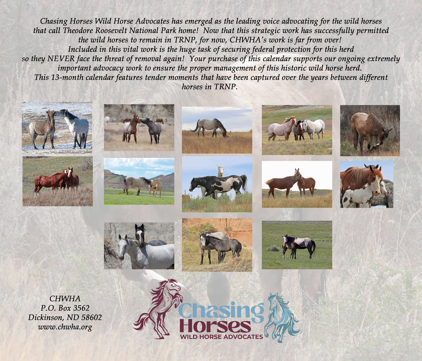 CHWHA 13 month 2026 calendar