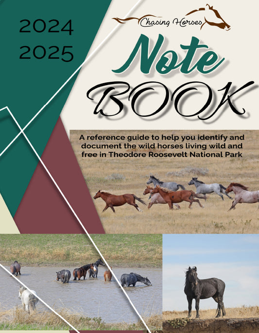 2024/2025 Chasing Horses Notebook