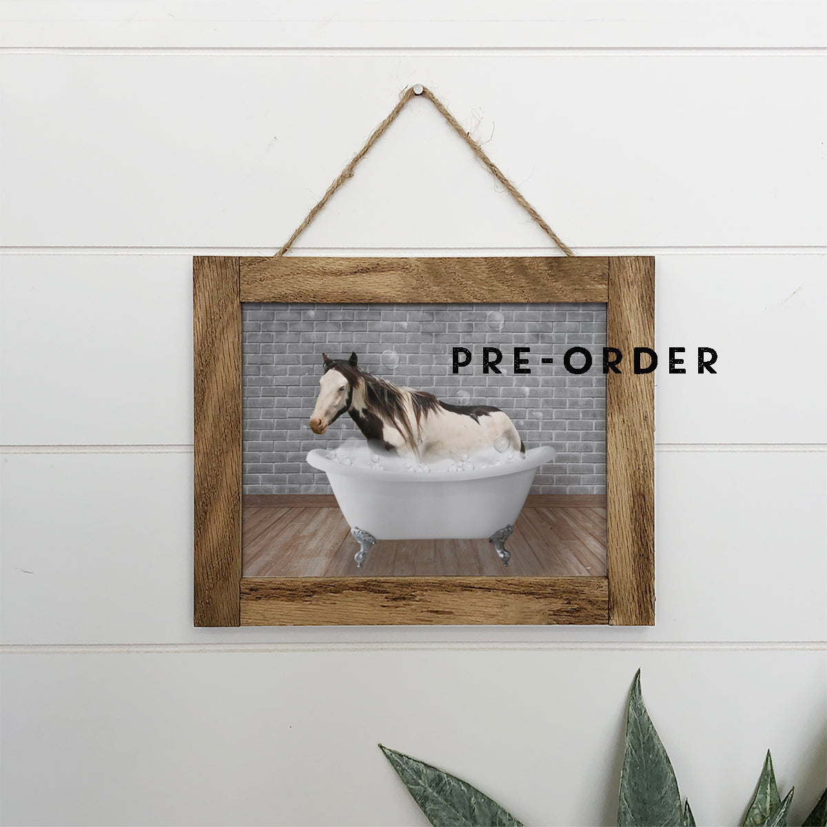 Boomer in the bathtub framed