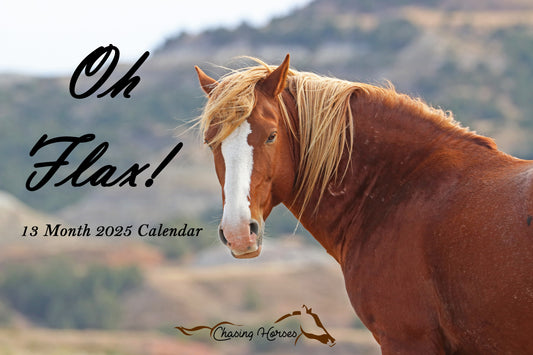 Chasing Horses 13-month 2025 calendars