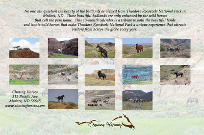 Chasing Horses 13-month 2026 calendars