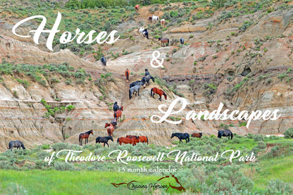 Chasing Horses 13-month 2026 calendars