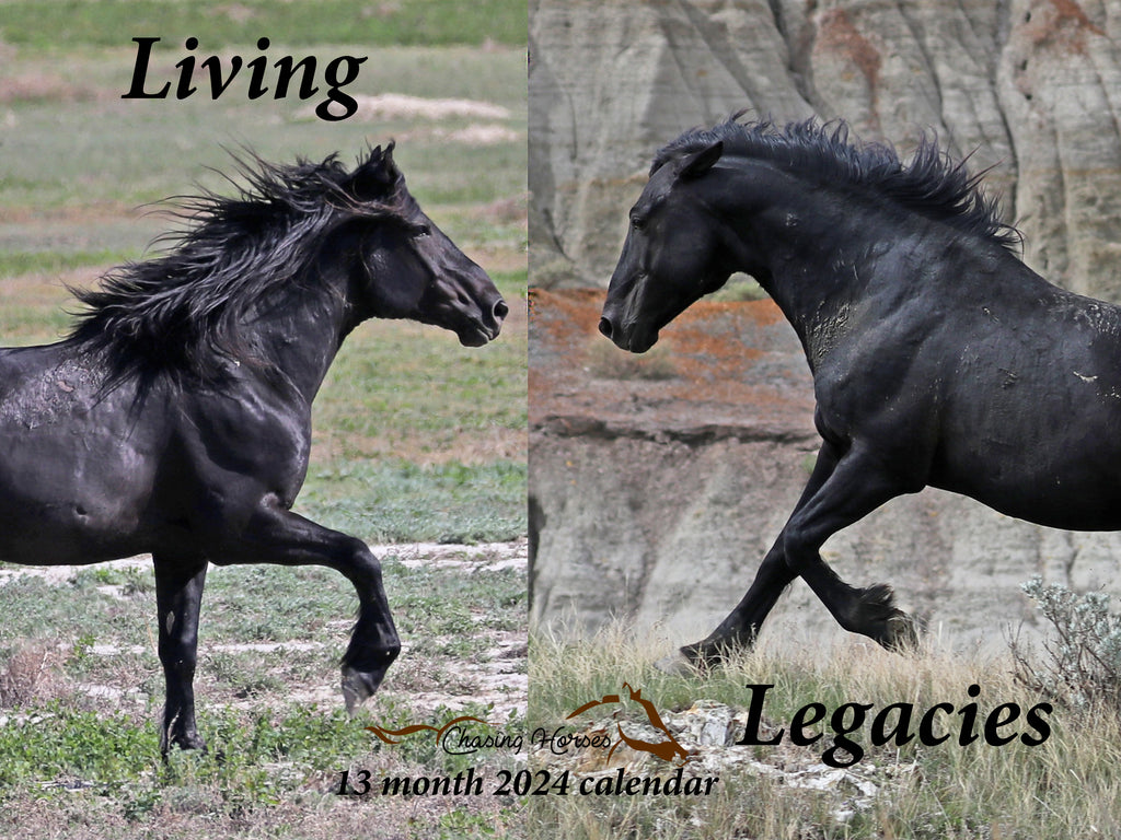 2024 Chasing Horses 13-month calendars