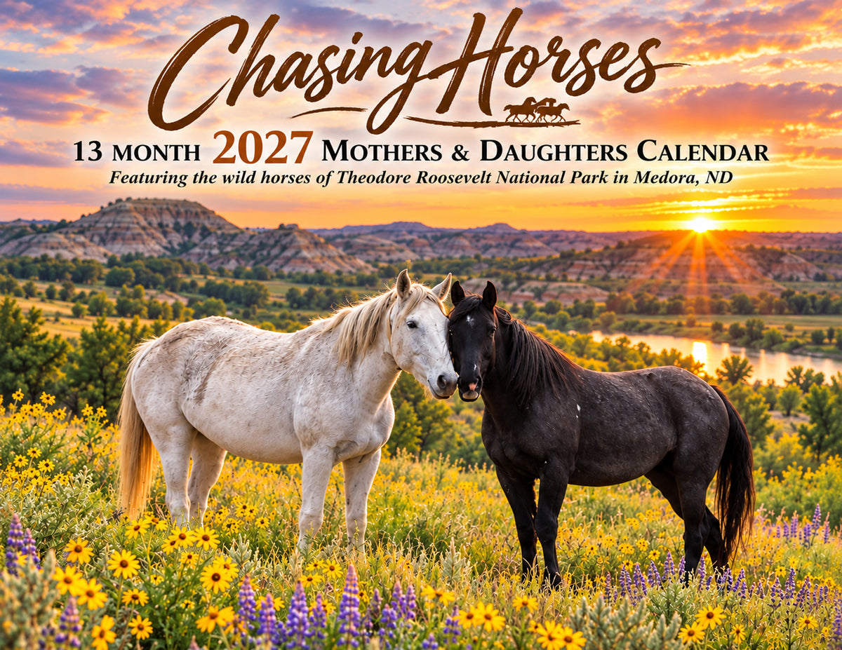 Chasing Horses 2027 13 month calendar