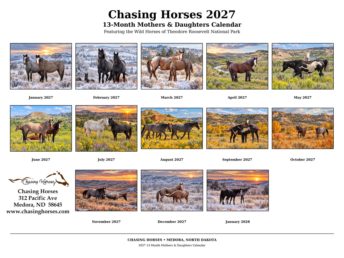 Chasing Horses 2027 13 month calendar