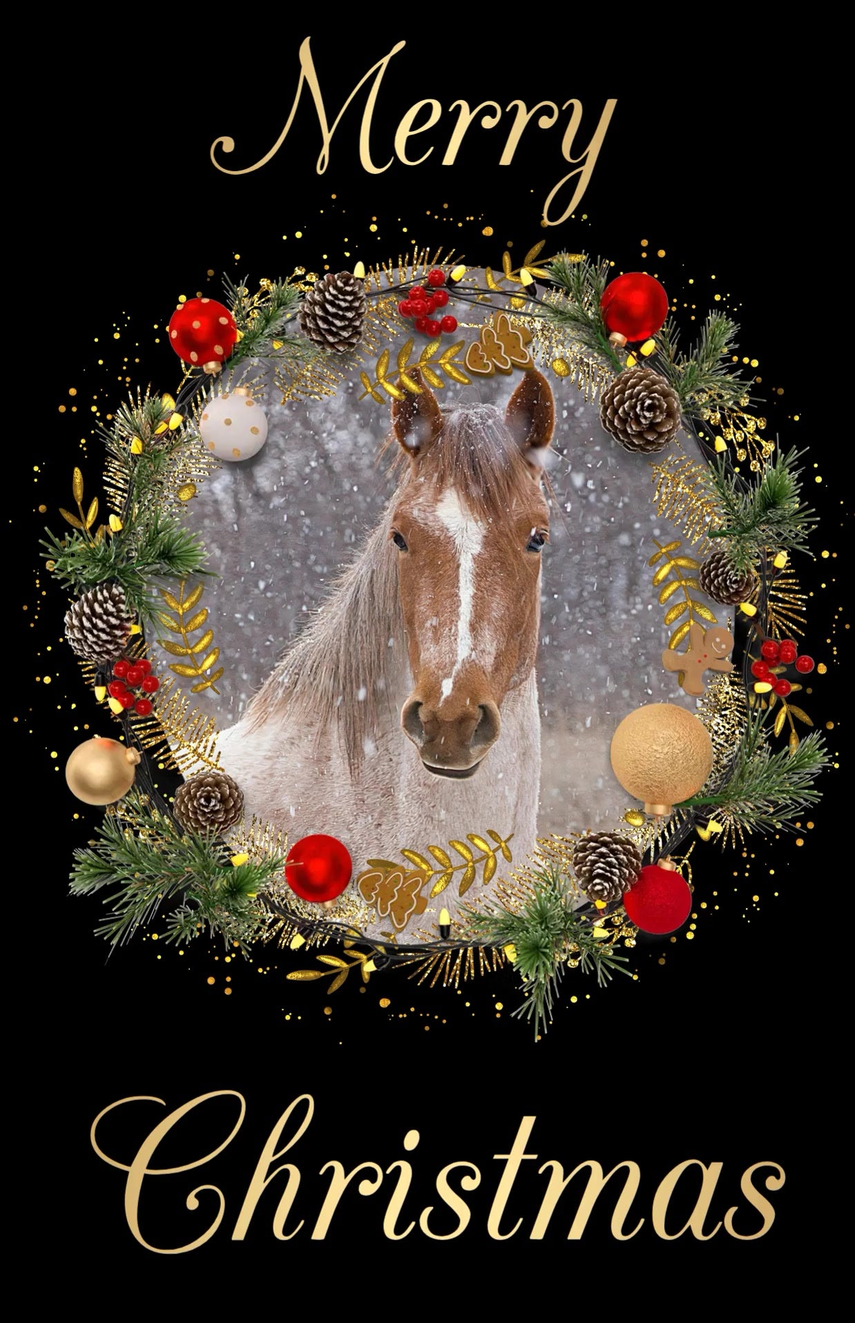 2024 Chasing Horses Christmas Cards