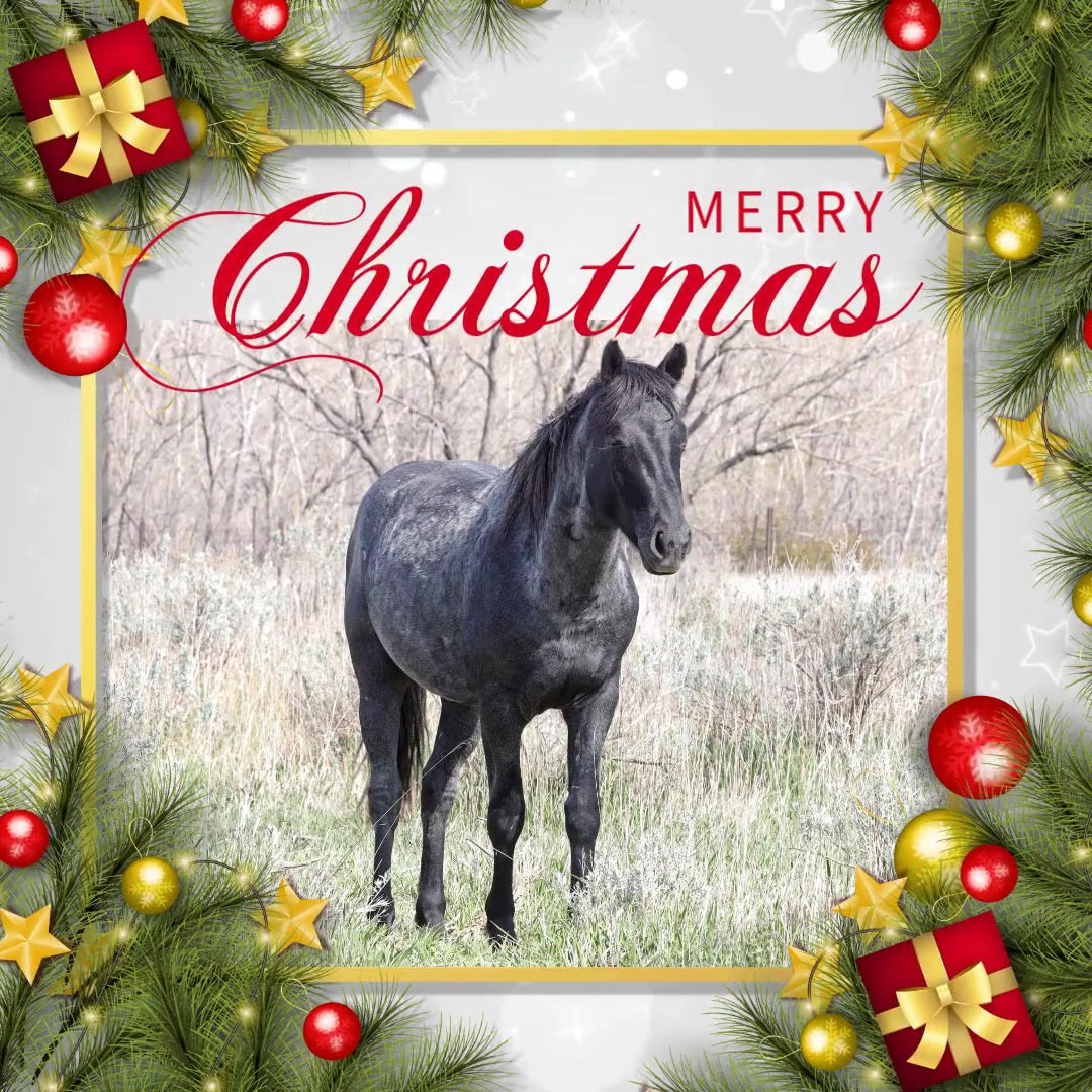 2024 Chasing Horses Christmas Cards