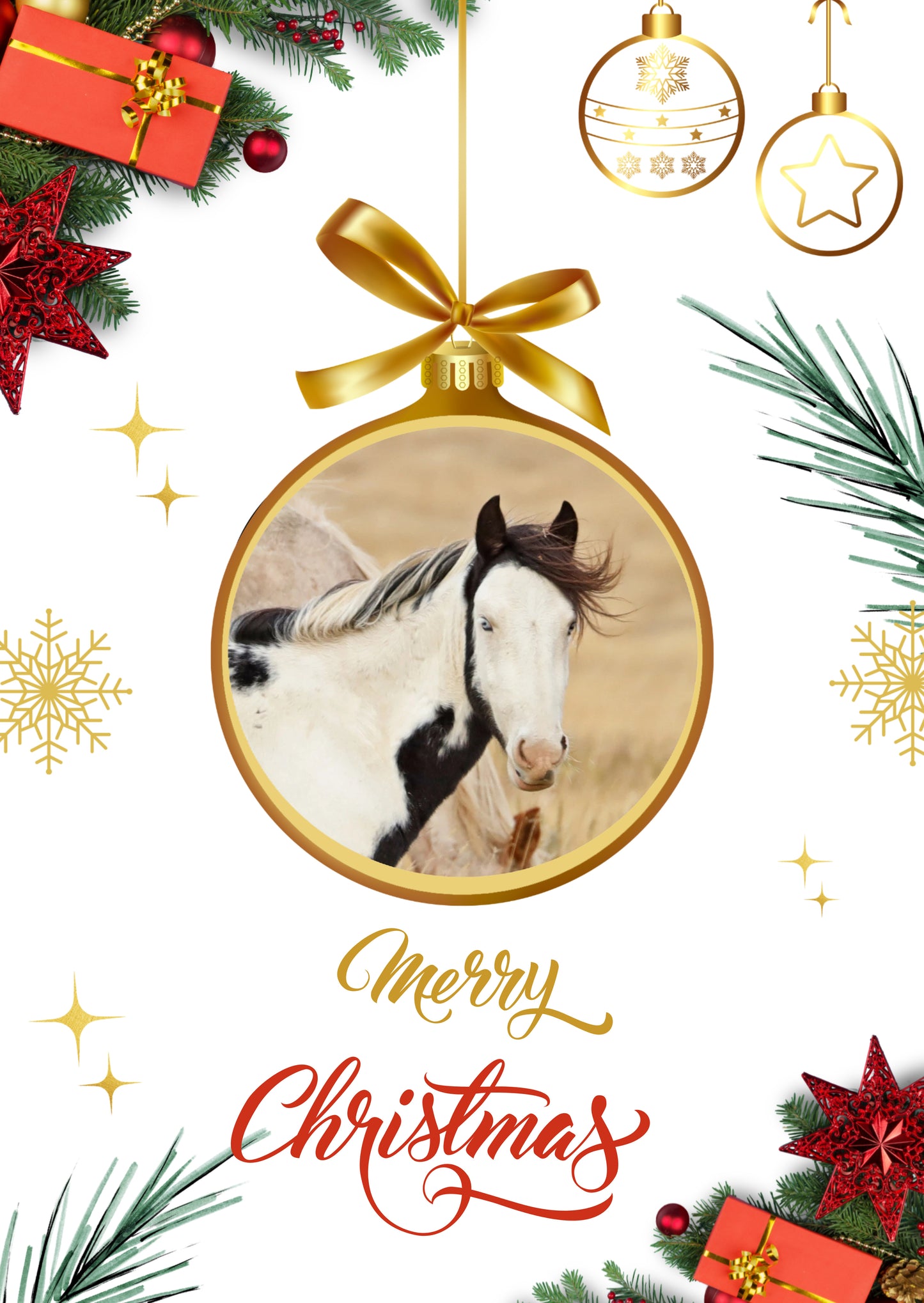 2024 Chasing Horses Christmas Cards