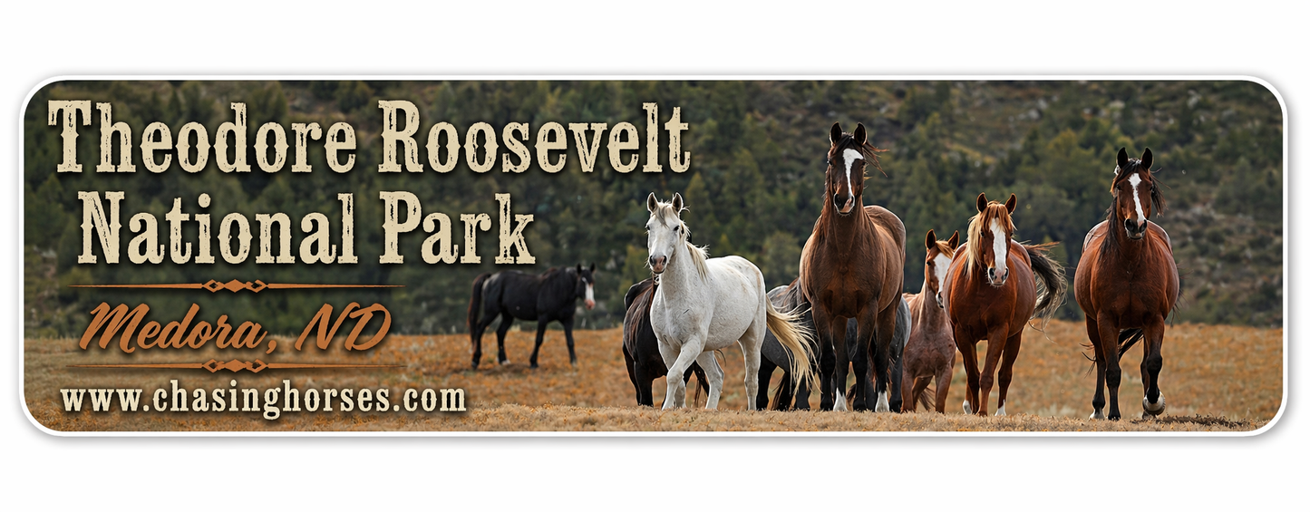 Chasing Horses Bumper Stickers