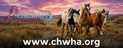 CHWHA Bumper Stickers