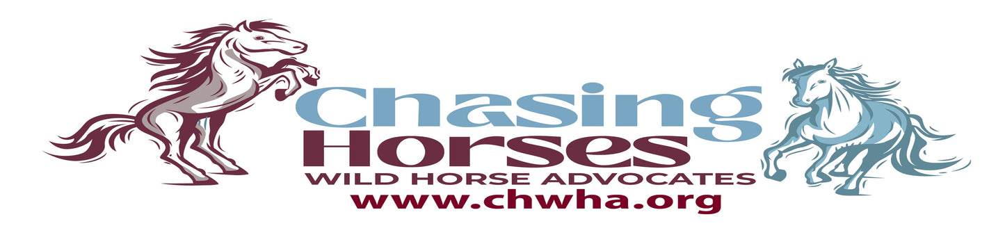 CHWHA Bumper Stickers