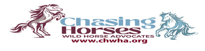 CHWHA Bumper Stickers