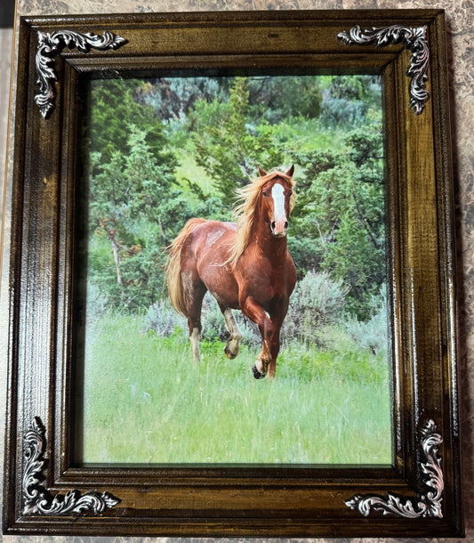 Silver Victorian Frame