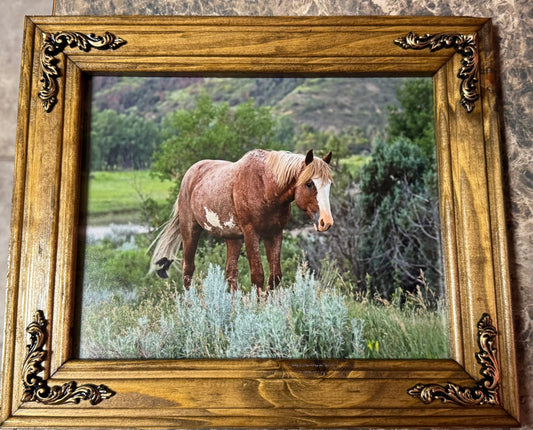 Classic Gold Victorian Frame