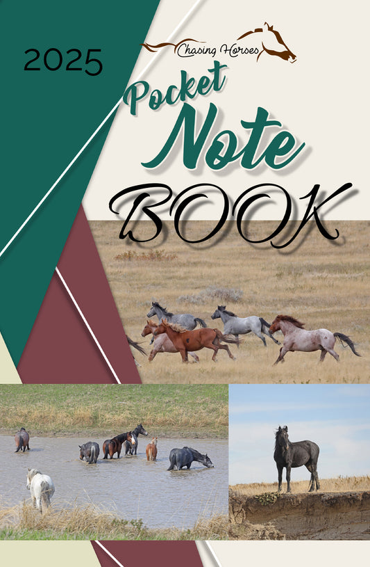 2025 Chasing Horses Pocket Notebook