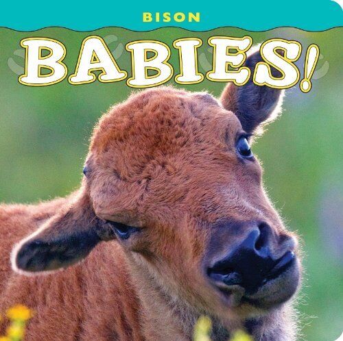 Bison Babies Book