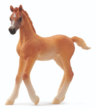 Schleich Arabian Foal