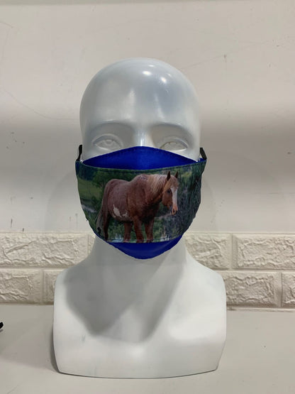 Chasing Horses Face Masks - 2nd release