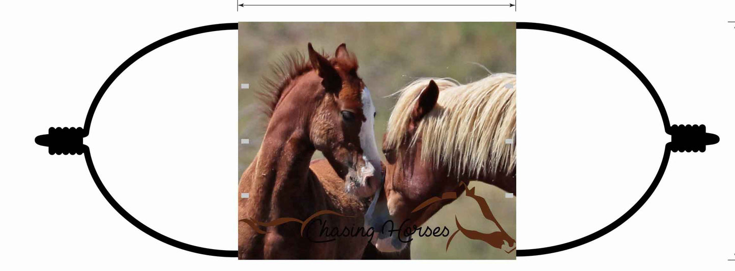 Chasing Horses Adult  Face Masks