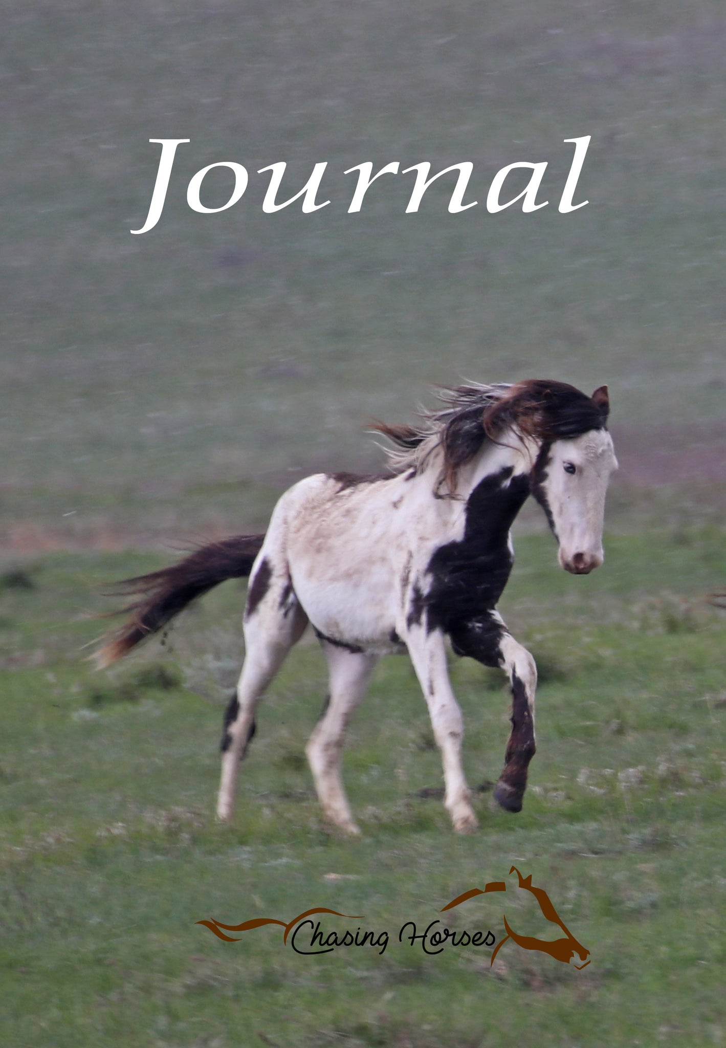 Chasing Horses Journals