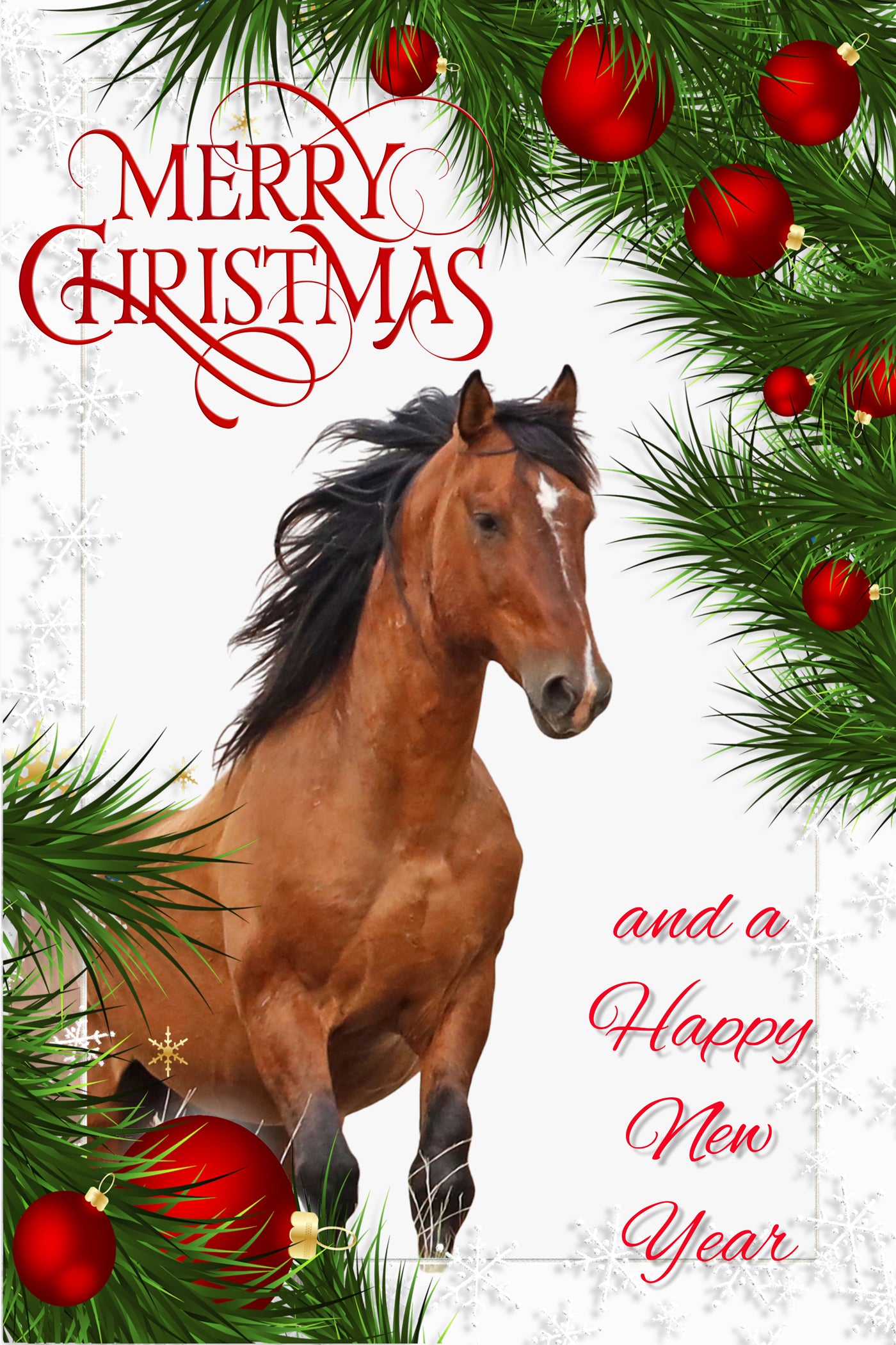 2021 Chasing Horses Christmas Card