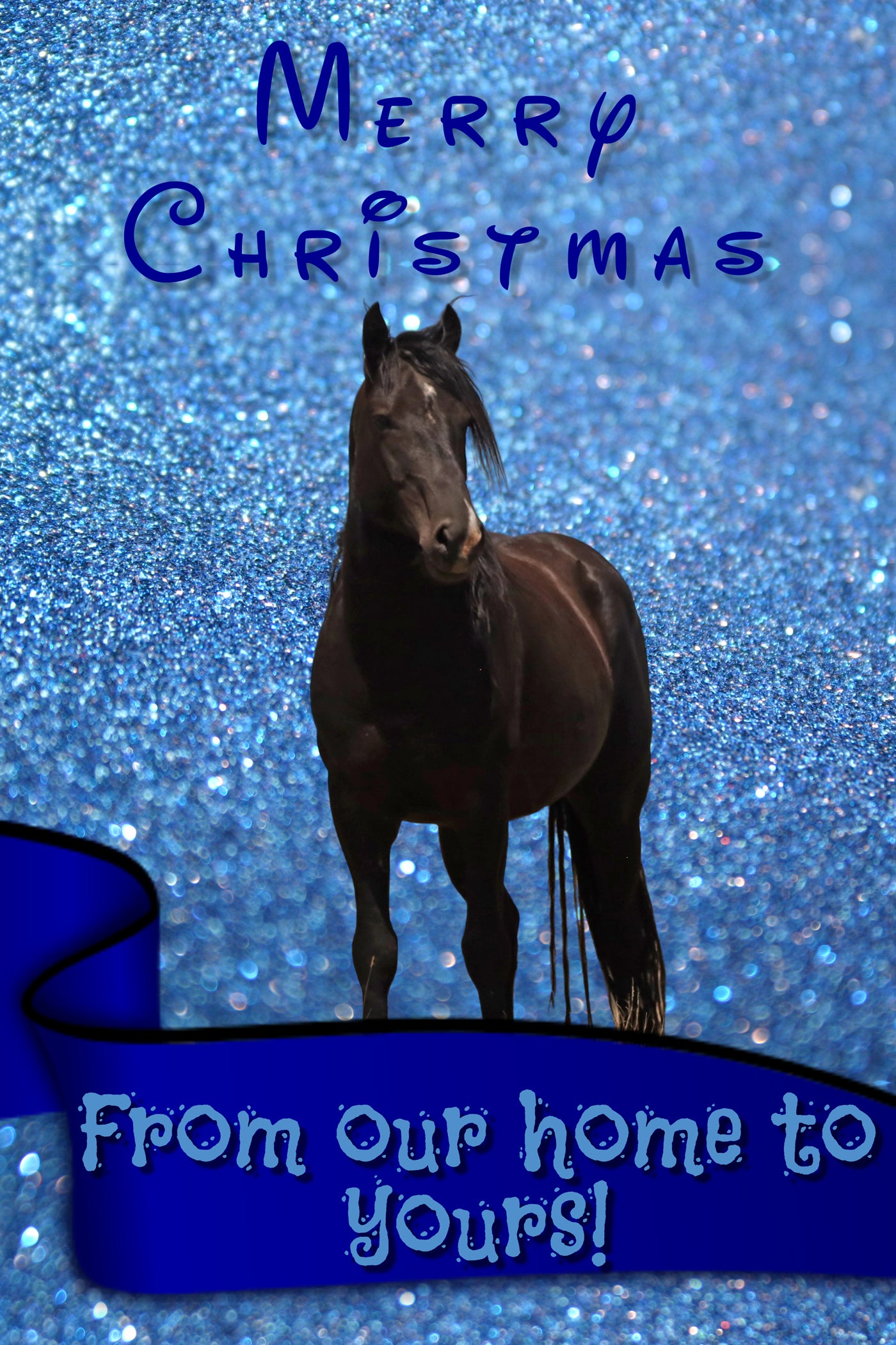 2021 Chasing Horses Christmas Card