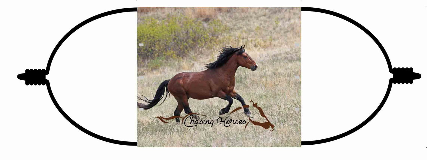 Chasing Horses Adult  Face Masks