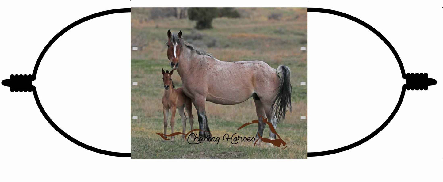 Chasing Horses Adult  Face Masks