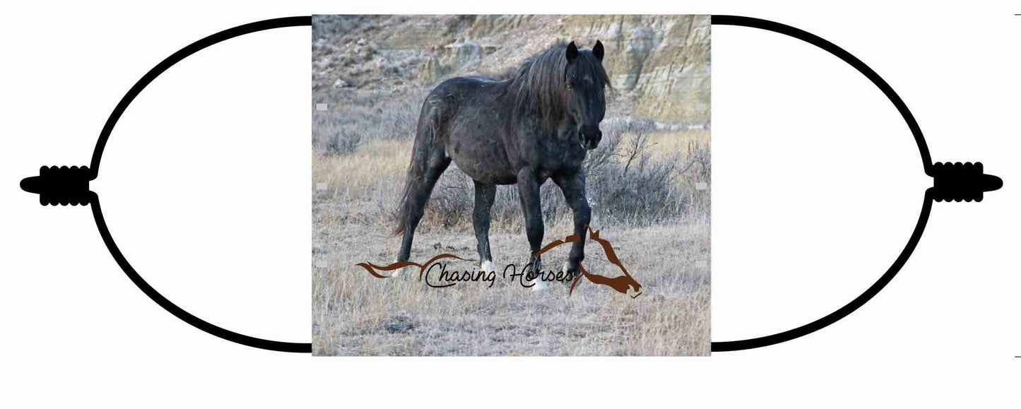 Chasing Horses Adult  Face Masks