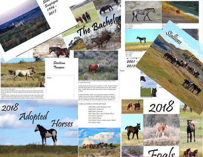 The Notebook: A Reference Manual to help document the wild horses living wild and free in Theodore Roosevelt National Park