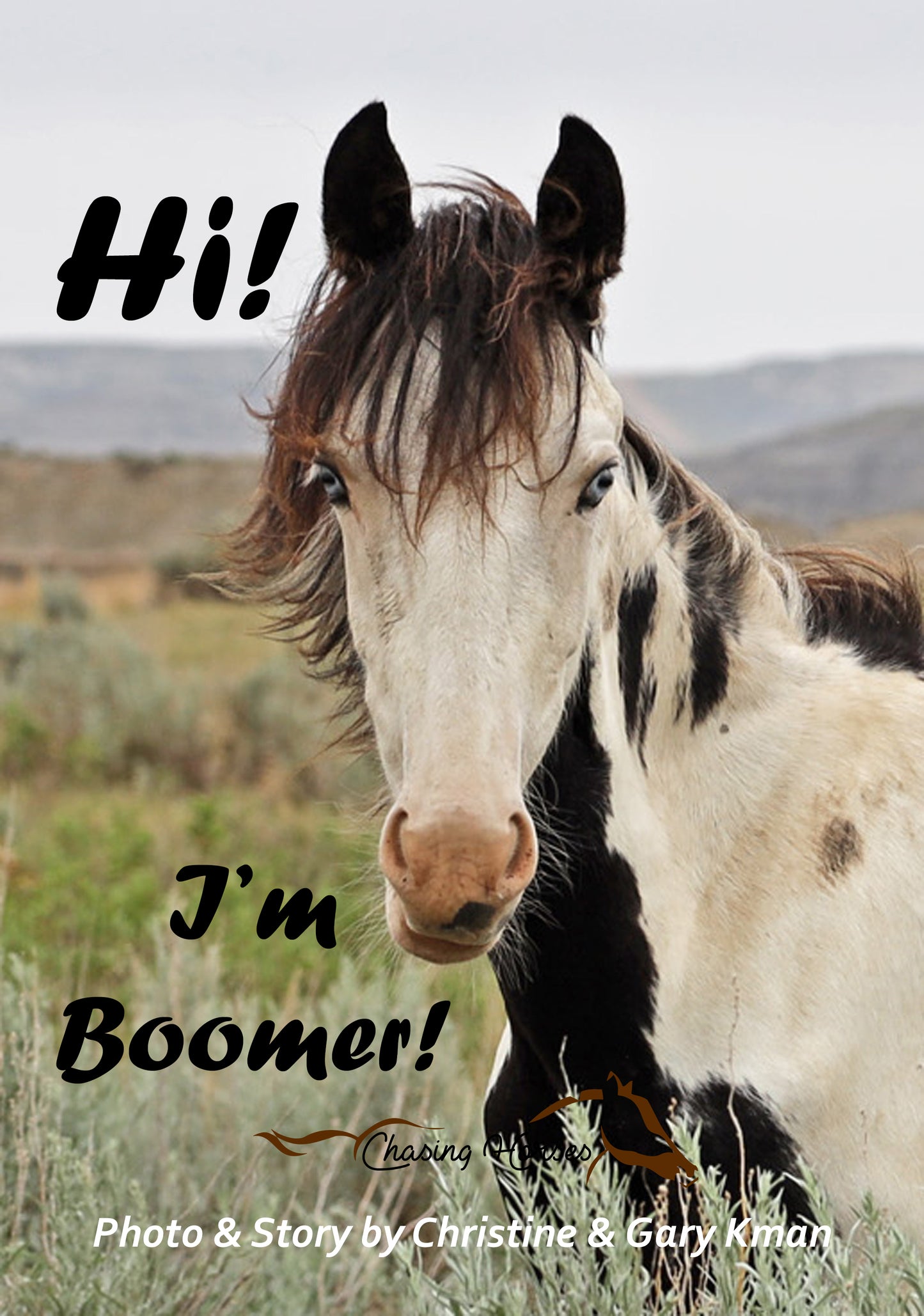 Hi! I'm Boomer Chasing Horses Book