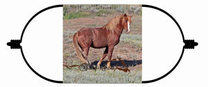 Chasing Horses Children's Face Masks