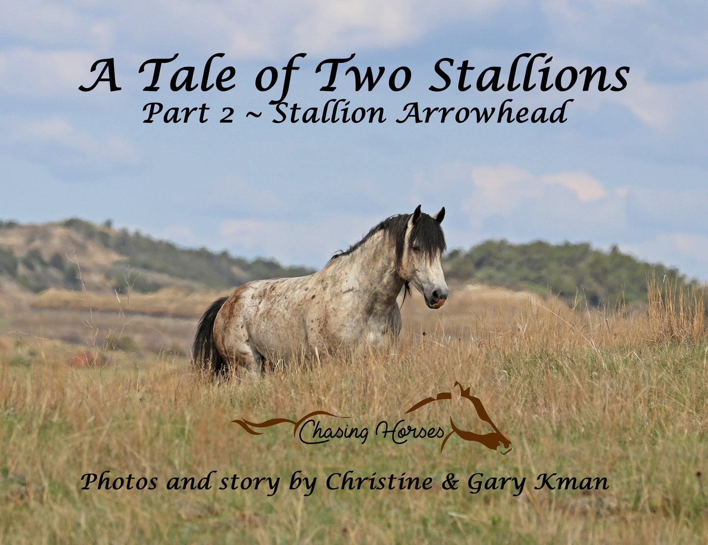 A Tale of Two Stallions ~ Part 2: Stallion Arrowhead