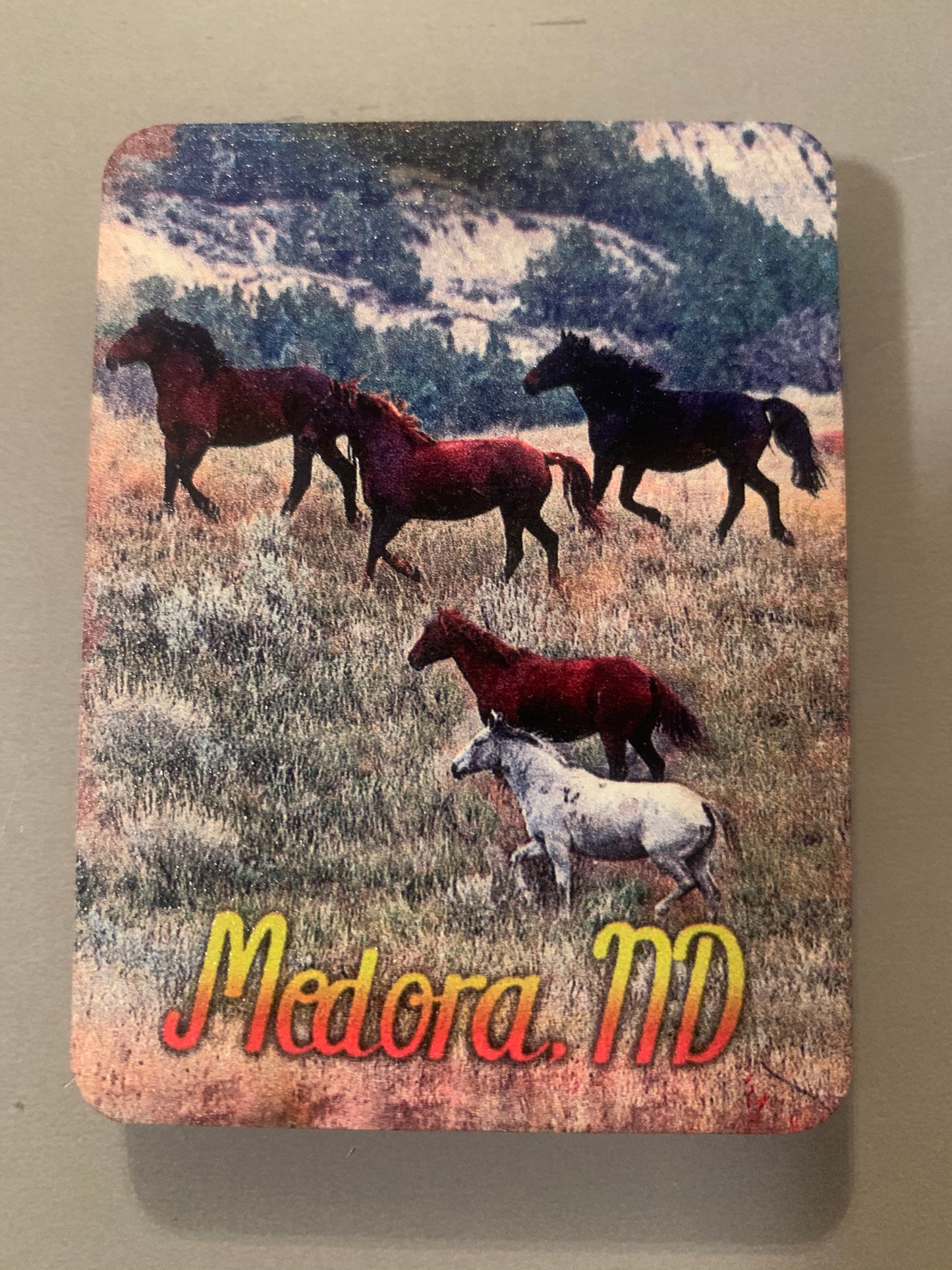 Magnet Chasing Horses 2 x 3 Magnets
