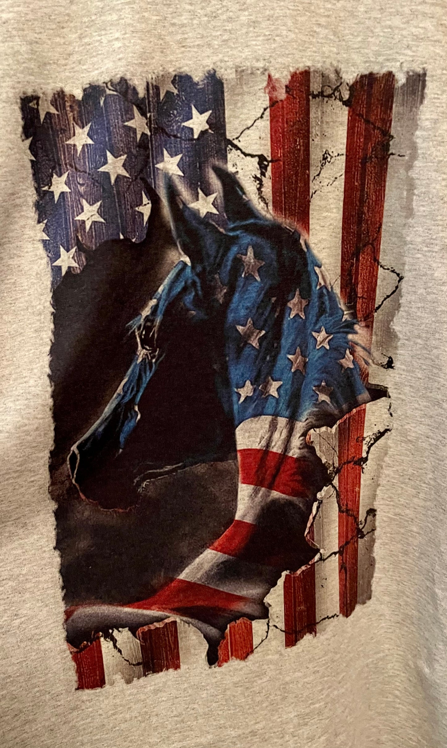 USA Horse shirt
