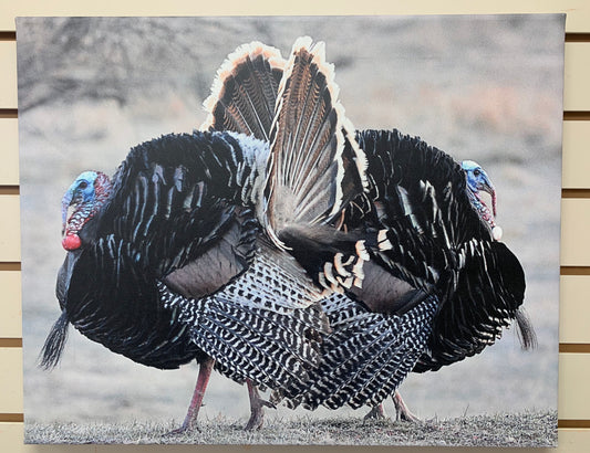 Local Artist Albert Myran Jr. 16x20  Mirror Image Turkeys