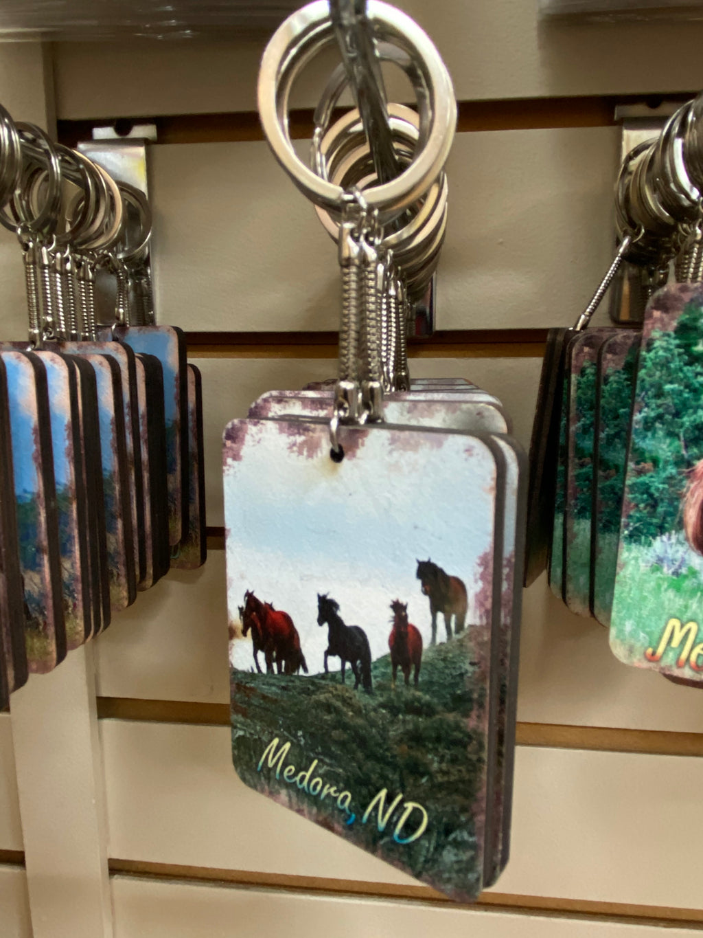 1 Chasing Horses 2 x 3 Keychains