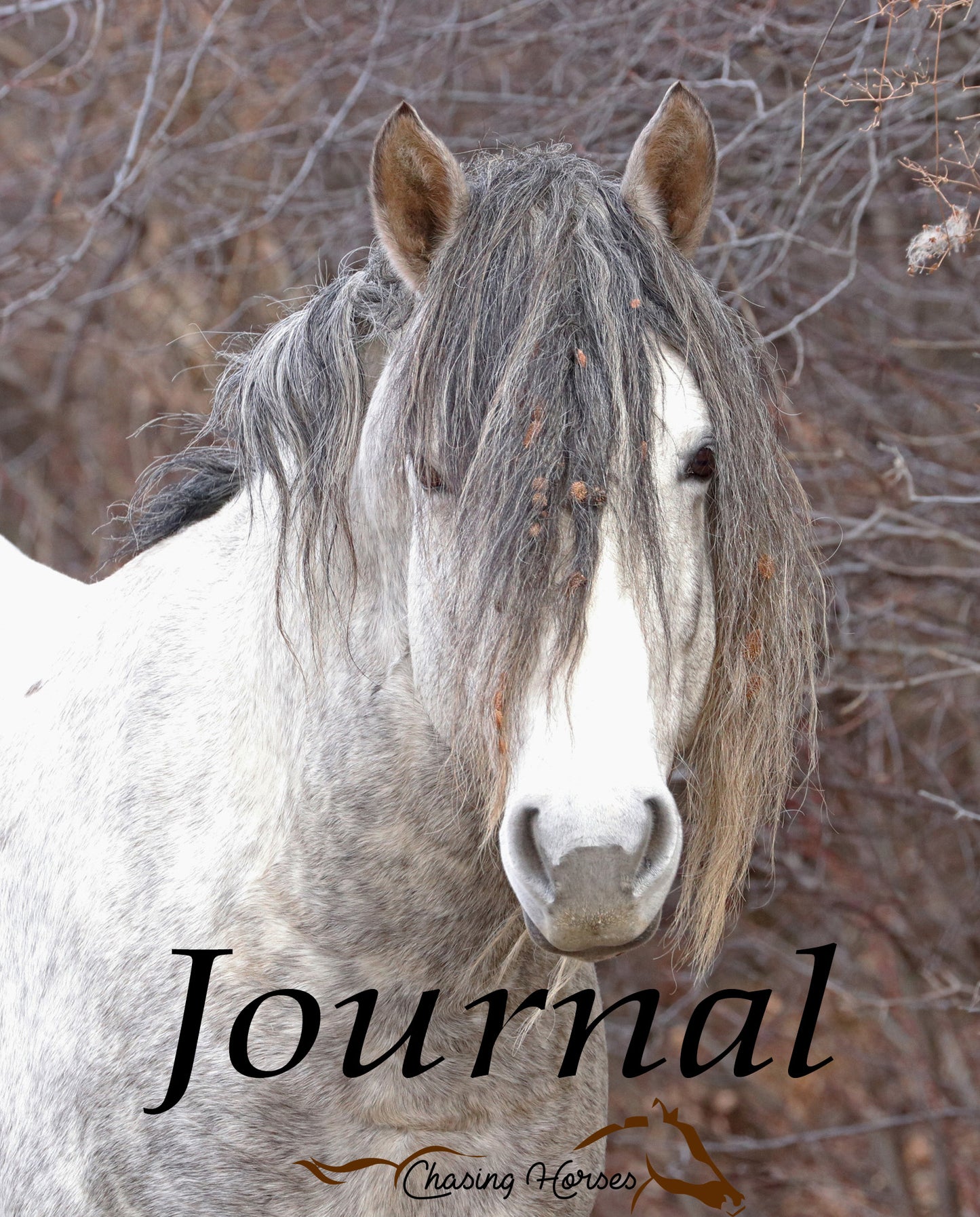 Chasing Horses Journals