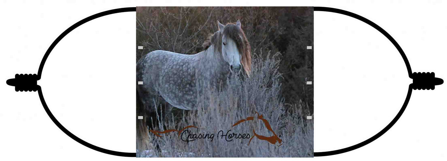 Chasing Horses Adult  Face Masks