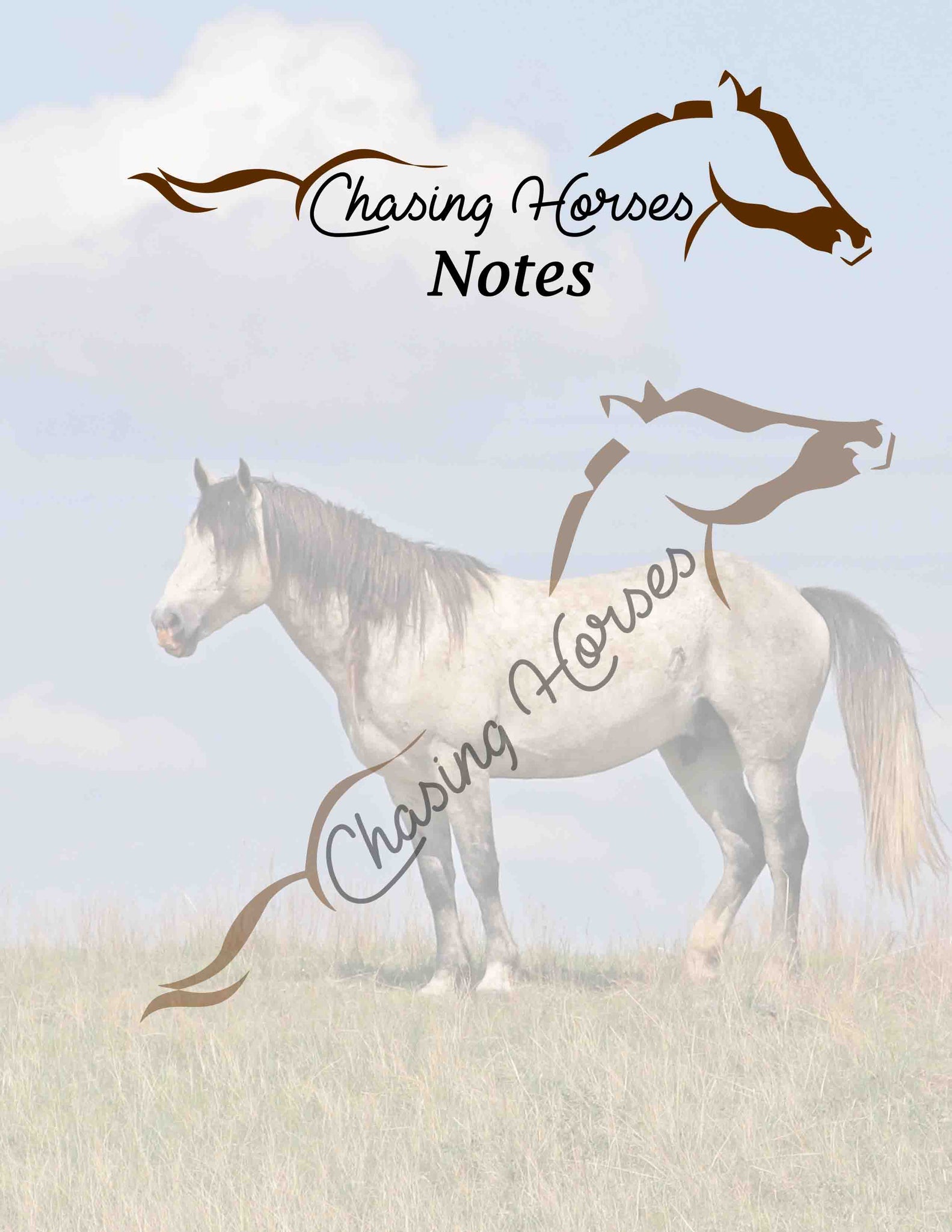 Chasing Horses 2021 The Notebook