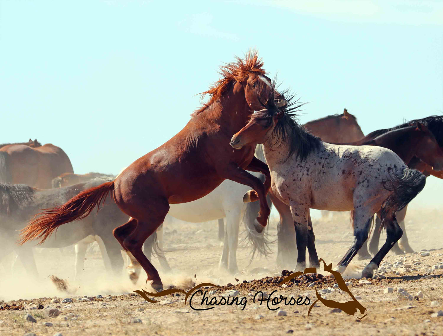 Onaqui Horses 9 Print