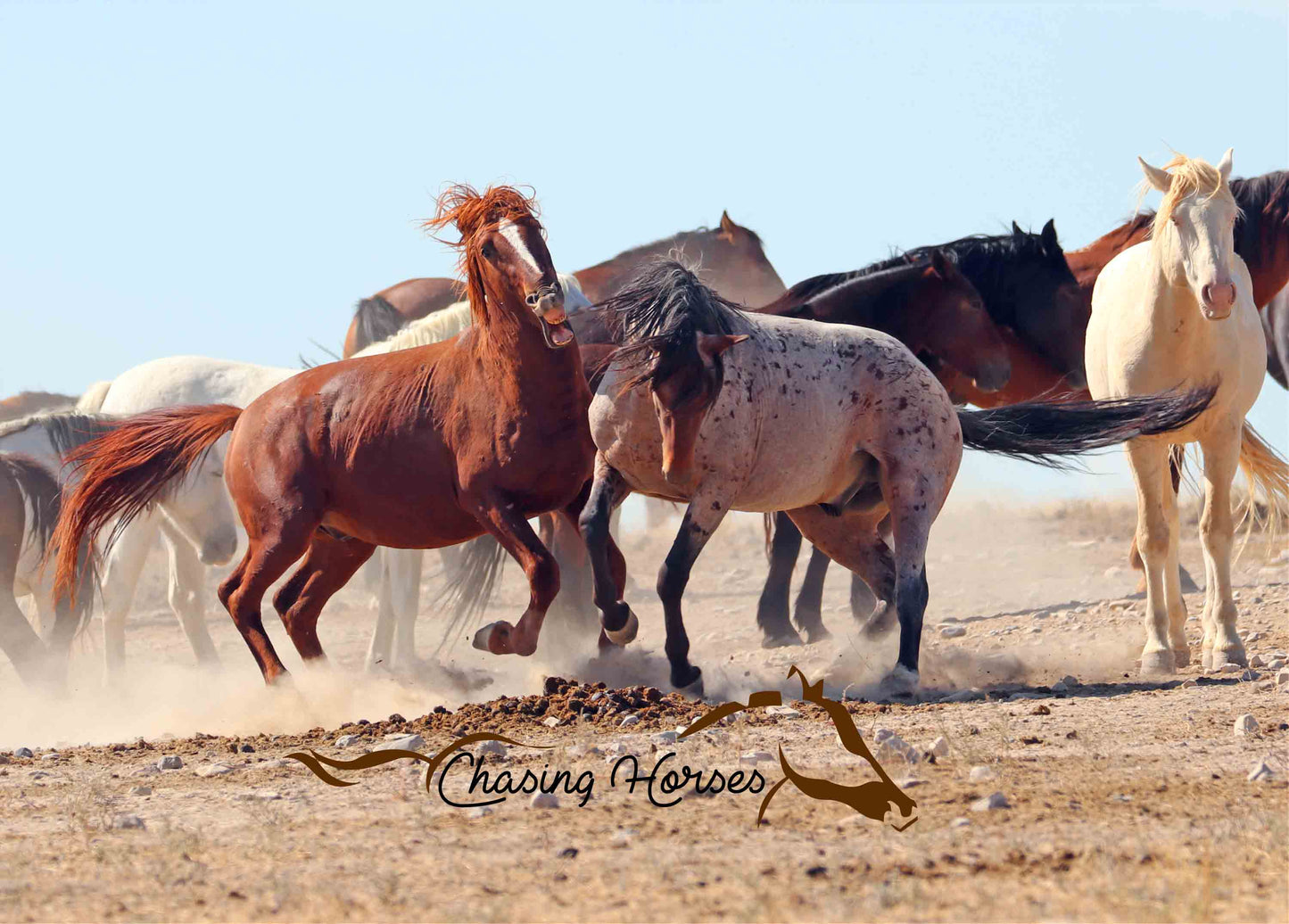 Onaqui Horses 10 Print