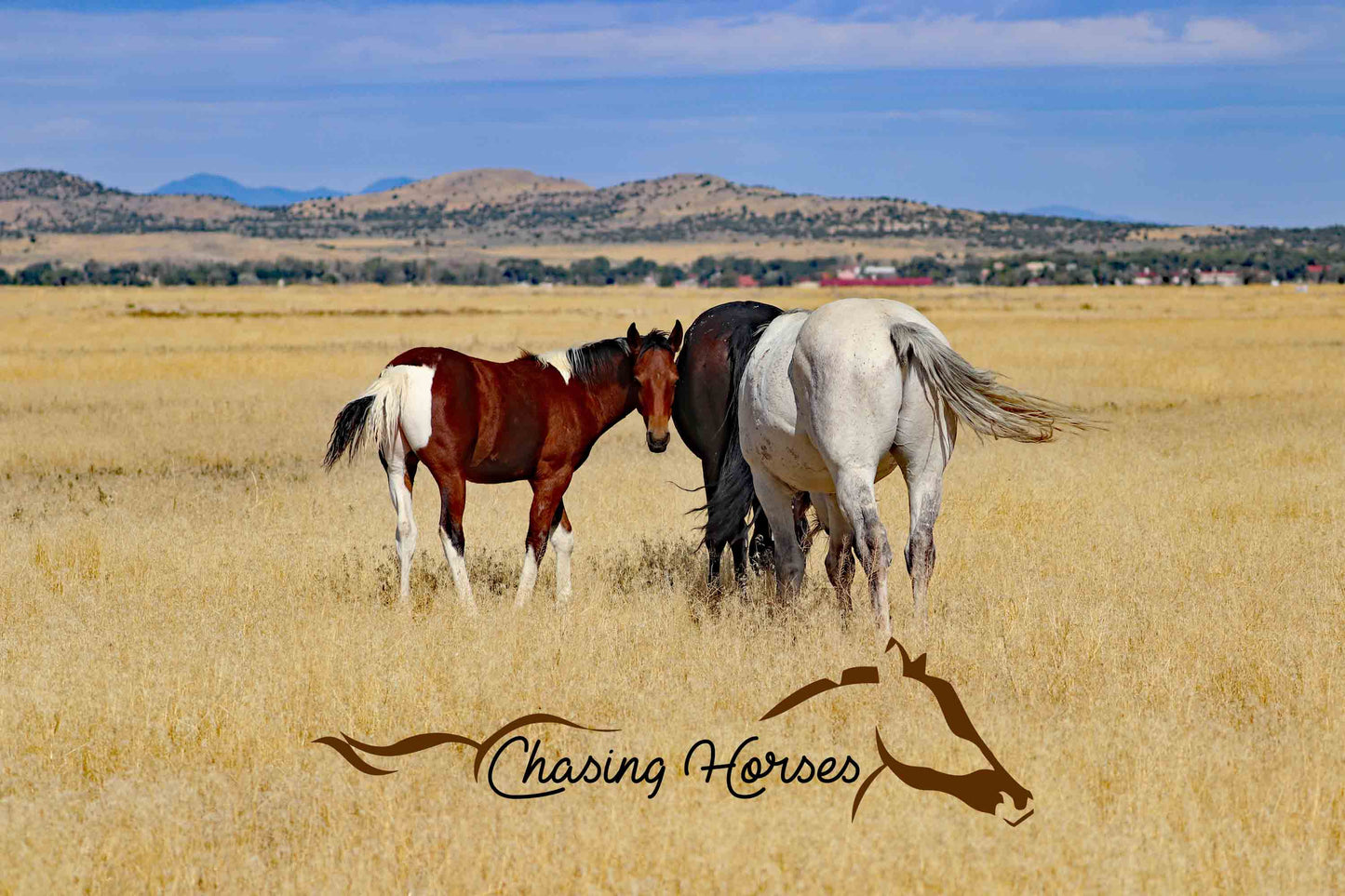 Onaqui Horses Print