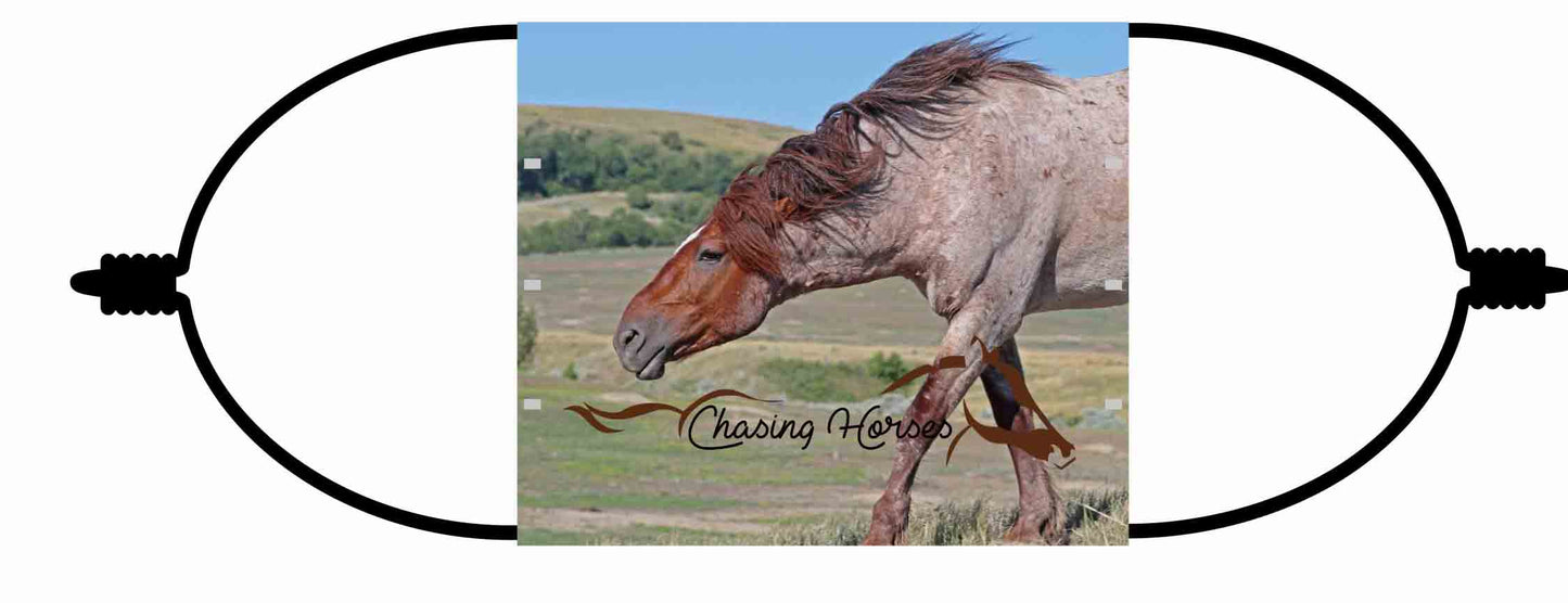 Chasing Horses Adult  Face Masks