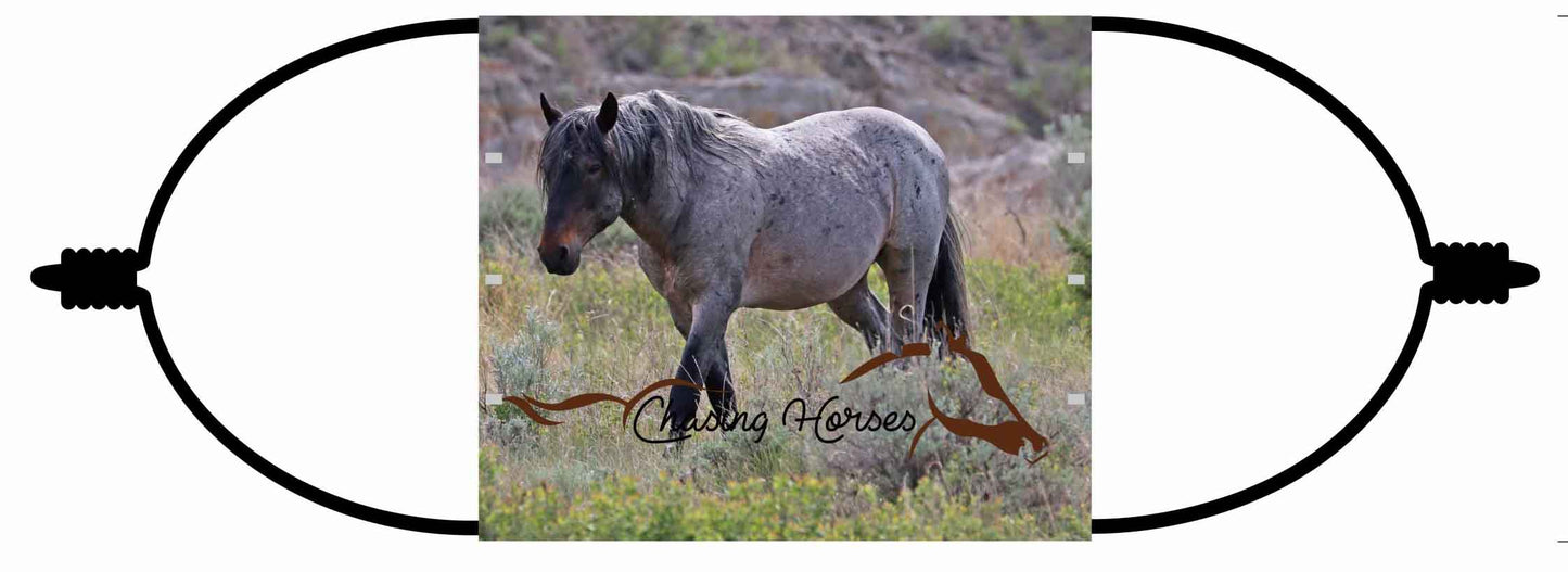 Chasing Horses Adult  Face Masks