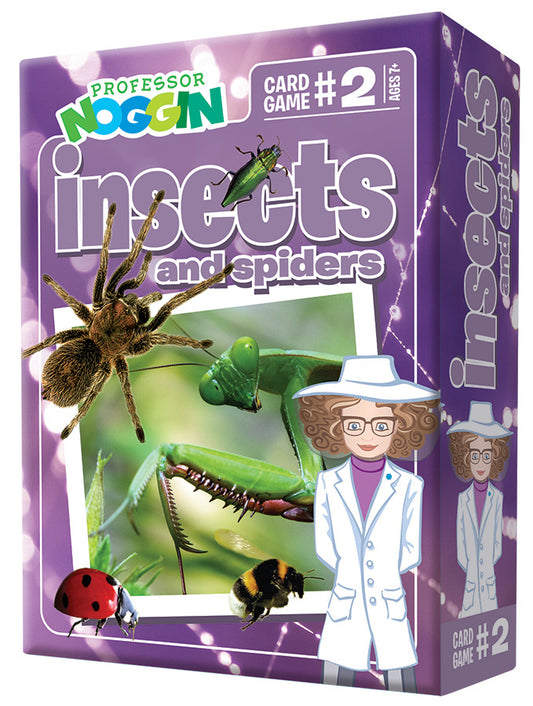 Professor Noggins Insects and Spiders