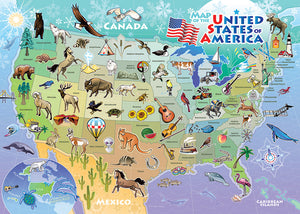 USA Map Tray Puzzle